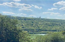 Teren padure cu vedere superba 11300mp, Aroneanu