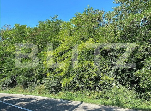 Teren de vânzare Aroneanu - 153866TV | BLITZ Iași | Poza1