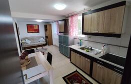 Apartment 2 camere Copou-Pacurari