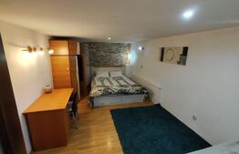 Apartment 2 camere Copou-Pacurari