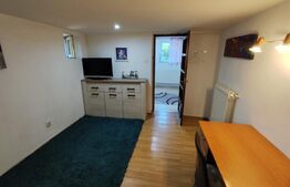 Apartment 2 camere Copou-Pacurari