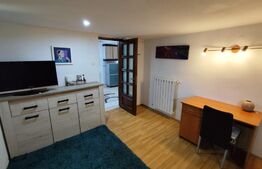 Apartment 2 camere Copou-Pacurari