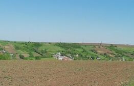 Teren extravilan Valea Ursului 7200 mp, aproape de centura Iasi