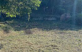 Teren in oras, 450mp, Podul de Fier