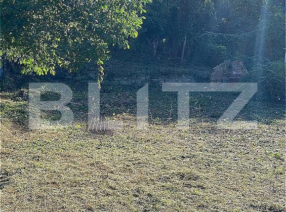 Teren de vânzare Podul de Fier - 154094TV | BLITZ Iași | Poza1