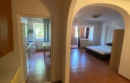 Apartament de 1 camera, 43 mp, zona Garii