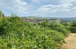 Teren intravilan 1500mp zona Lidl Bucium