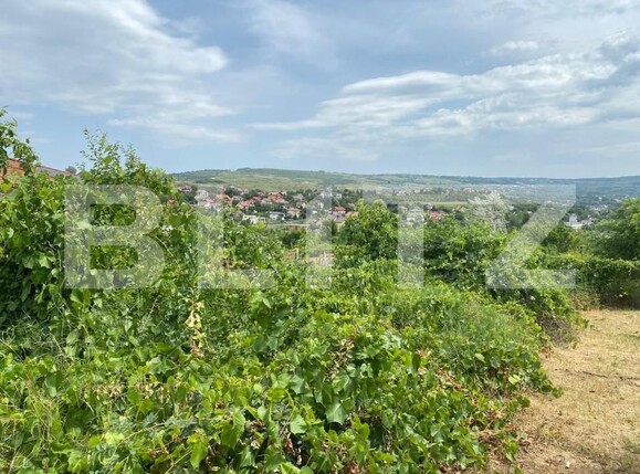 Teren de vânzare Bucium - 154170TV | BLITZ Iași | Poza1