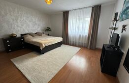 2 Apartamente de 1 camera, 33mp, curte interioara in proprietate, zona Tg. Cucu