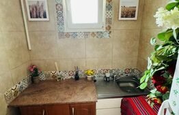 2 Apartamente de 1 camera, 33mp, curte interioara in proprietate, zona Tg. Cucu