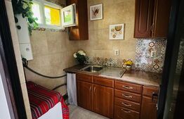 2 Apartamente de 1 camera, 33mp, curte interioara in proprietate, zona Tg. Cucu