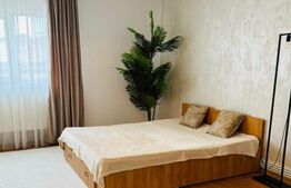 2 Apartamente de 1 camera, 33mp, curte interioara in proprietate, zona Tg. Cucu