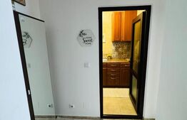 2 Apartamente de 1 camera, 33mp, curte interioara in proprietate, zona Tg. Cucu