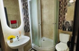 2 Apartamente de 1 camera, 33mp, curte interioara in proprietate, zona Tg. Cucu