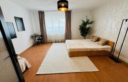 2 Apartamente de 1 camera, 33mp, curte interioara in proprietate, zona Tg. Cucu