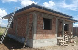 Casa plan parter, 80mp utili, 350mp teren, Vorovesti