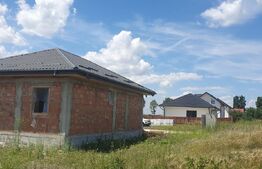 Casa plan parter, 80mp utili, 350mp teren, Vorovesti