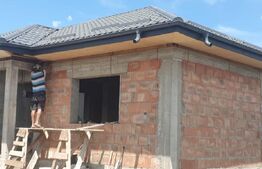 Casa plan parter, 80mp utili, 350mp teren, Vorovesti