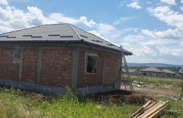 Casa plan parter, 80mp utili, 350mp teren, Vorovesti