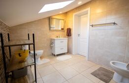 Casa 5 camere in Barnova, 150 mp utili si 1000 mp teren