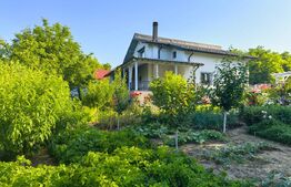 Casa 5 camere in Barnova, 150 mp utili si 1000 mp teren