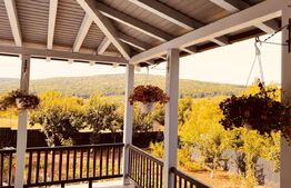 Casa 5 camere in Barnova, 150 mp utili si 1000 mp teren