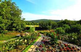 Casa 5 camere in Barnova, 150 mp utili si 1000 mp teren