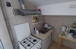 Apartament de 1 camera, 30 mp, zona Copou