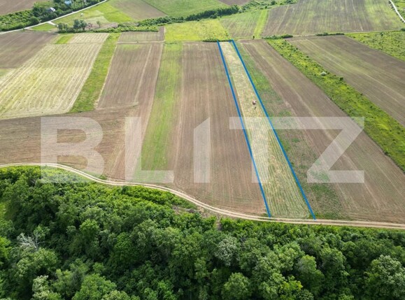 Teren de vânzare Visani - 154499TV | BLITZ Iași | Poza1