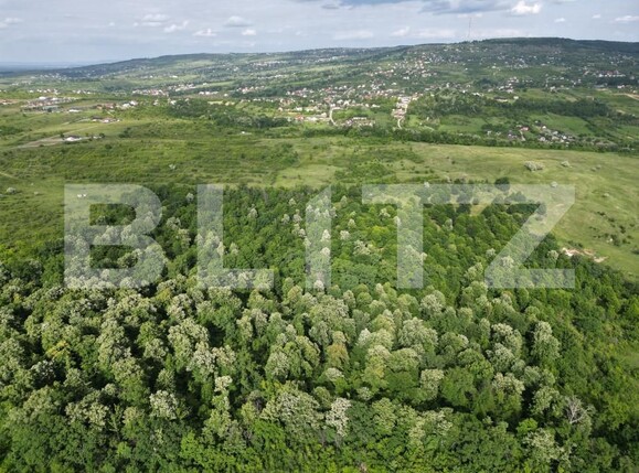 Teren de vânzare Visani - 154499TV | BLITZ Iași | Poza2