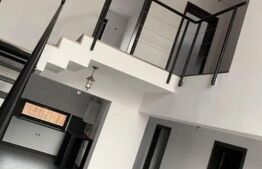 Casa de inchiriat, 4 camere, 150 mp, Pacurari