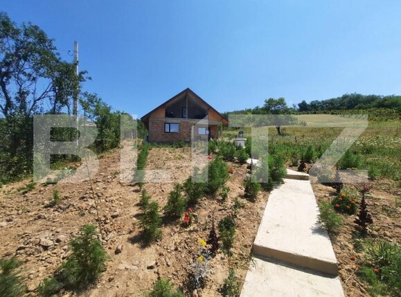 Casa de vânzare 4 camere Padureni (Grajduri) - 154684CV | BLITZ Iași | Poza4