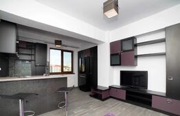 Apartament de 1 camera, 30 mp, zona Palas