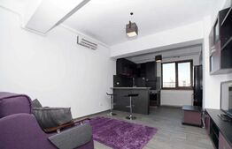 Apartament de 1 camera, 30 mp, zona Palas