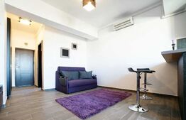 Apartament de 1 camera, 30 mp, zona Palas