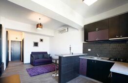 Apartament de 1 camera, 30 mp, zona Palas