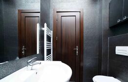 Apartament de 1 camera, 30 mp, zona Palas