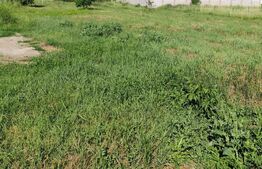 Teren 350 mp cu Proiect casa aprobat Horpaz, langa Centura