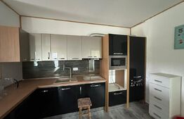 Casa P+1, 4 dormitoare, 3 bai, 1000mp teren, zona Tomesti