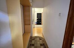 Apartament de 2 camere, 50 mp, zona Podu Ros