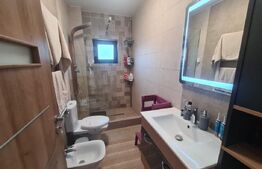 Casa 3 camere si mansarda - Vorovesti