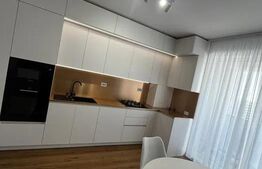 Apartament de 2 camere, 95 mp, zona Copou