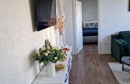 Apartament de lux cu 3 camere, zona Palas 