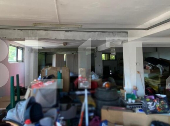 Spațiu industrial de vânzare Vladiceni - 155729SVI | BLITZ Iași | Poza8