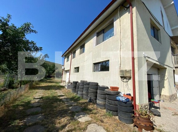 Spațiu industrial de vânzare Vladiceni - 155729SVI | BLITZ Iași | Poza3