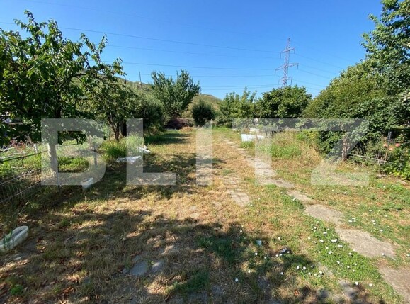 Spațiu industrial de vânzare Vladiceni - 155729SVI | BLITZ Iași | Poza2