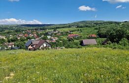 Teren intravilan 780mp Barnova Iasi