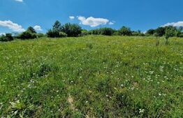 Teren intravilan 780mp Barnova Iasi