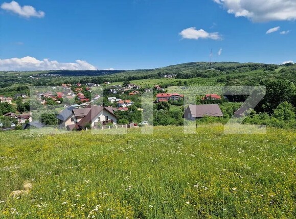 Teren de vânzare Barnova  - 155784TV | BLITZ Iași | Poza3