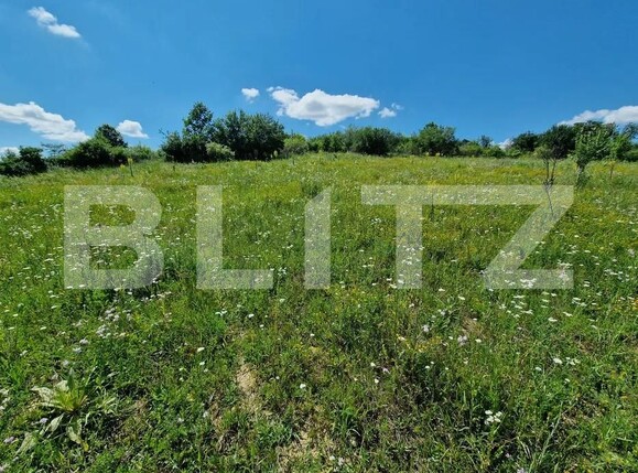 Teren de vânzare Barnova  - 155784TV | BLITZ Iași | Poza1